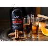 LAVA Premium Fire & Spice Old Fashioned Mix Spicy Cinnamon 16 fl.oz. for Whiskey - 4 of 4