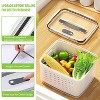 LunaLulinlk 10 PCS Fruit Storage Containers for Fridge, 5 Size Food Containers for Refrigerator Organizers Bins with Colander Set,16L - 3 of 4