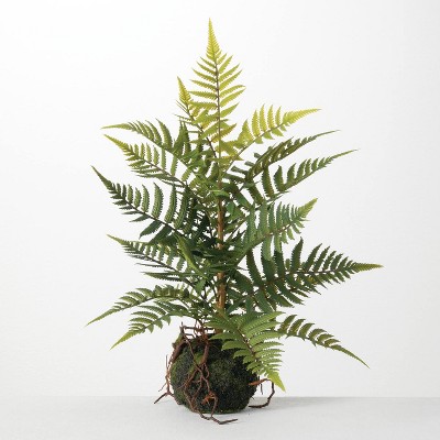 Sullivans Artificial Fern In Ball