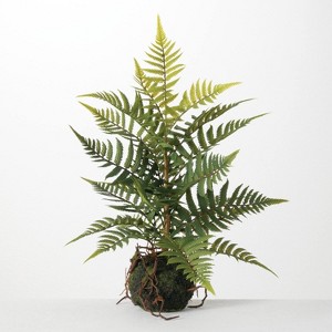 Sullivans Artificial Fern In Ball - 1 of 4