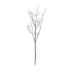 Birch Twig Branch (Set of 6) - 4 of 4