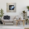 Stupell Industries Mysterious Barn Owl Peering Canvas Wall Art - 2 of 3