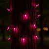 Novelty Lights 11 Feet 50 Bulbs Incandescent Mini Lights, Clear on Brown Wire with 2.5" Spacing, UL Listed for Indoor/Outdoor Use, Connectable - 3 of 4