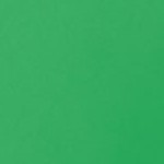 kelly green/white bottom
