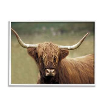 Stupell Industries Highland Cattle Shaggy Hair Country Animal Portrait Photography