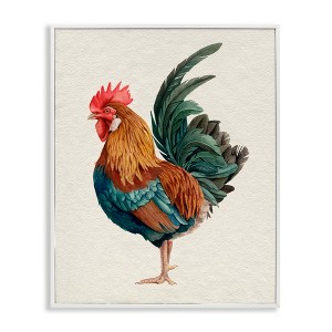 Stupell Industries Traditional Morning Rooster Illustration Elegant Bird Feathers Framed Giclee Art - 1 of 4