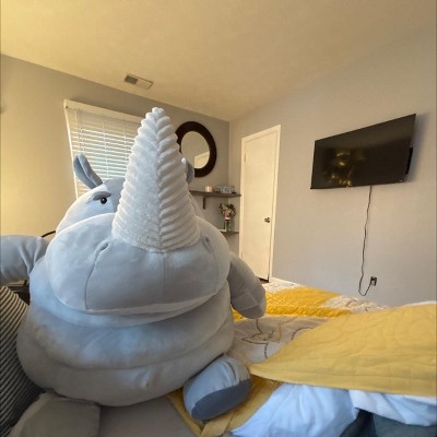 Guest review image 1 of 1, zoom in