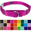 Country Brook Petz Heavyduty Nylon Martingale with Premium Buckle - 3 of 4