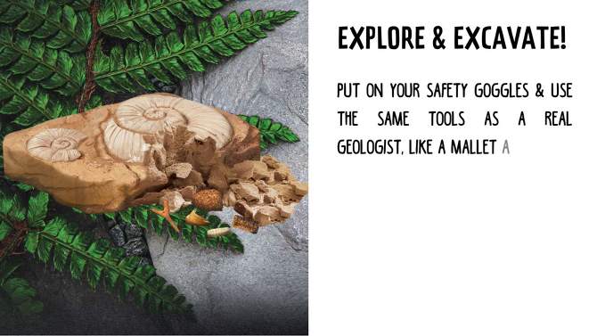 Prehistoric Fossil Dig Activity Kit - Think Box, 2 of 7, play video