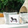 Stupell Industries Dachshund Dog on Skateboard, 18 x 18 - 2 of 3