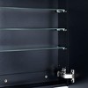 TEHOME Garnes Rectangular Recessed or Surface Mount Metal Medicine Cabinet with Mirror - 4 of 4
