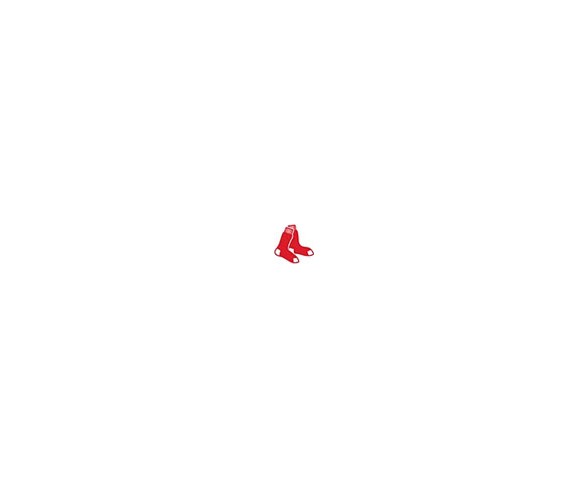 MLB Boston Red Sox 500pc Find Joe Journeyman Puzzle