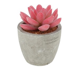 Unique Bargains Artificial Plants Mini Pulp with Graptopetalum Plastic Green 2.76"x2.76"x3.15" 1 Pc - 1 of 4