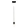 Livex Lighting Prague 1 - Light Pendant in  Black - 3 of 4