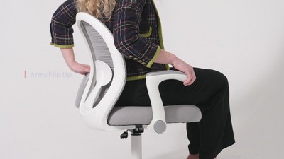 Grey Mesh and Fabric Task Chair with Adjustable Arms