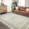 Acekool Machine Washable Area Rug, Non Slip Vintage Floral Carpet for Living Room, Bedroom - 3 of 4