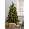 Perfect Holiday Prelit Calgary Spruce Christmas Tree with Warm White Lights - 3 of 4