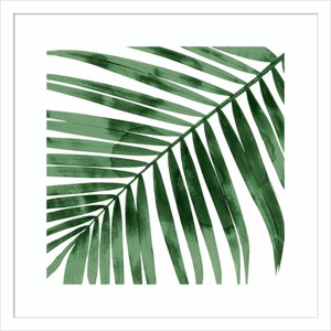 Amanti Art 19"x19" Tropical Green Palm I by Melonie Miller Framed Wall Art Print White: Botanical Lithograph, Modern Decor - 1 of 4