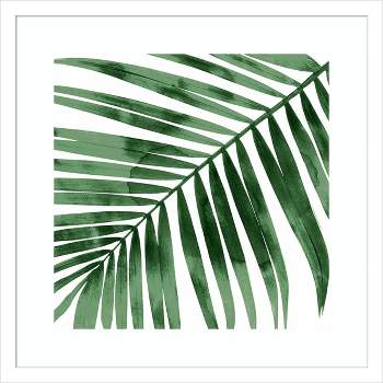19" x 19" Tropical Green Palm I by Melonie Miller Framed Wall Art Print White - Amanti Art