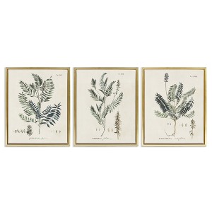 Stupell Industries Green Botanical Latin Study, 25" x 31" - 1 of 4