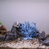 Unique Bargains Coral Reef Decor Mini Faux Coral Decor for Aquarium Decorations 6.3"x5.31" - 2 of 4