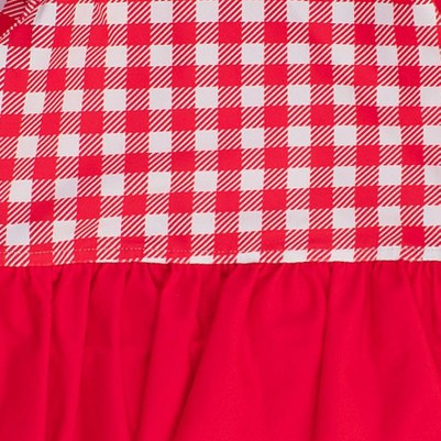 vintage red gingham