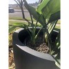 Rosemead Home & Garden, Inc. Concrete Outdoor Planter Pot Black 16"x16" - 4 of 4