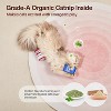 Potaroma Beer-Simulation Cat Toys 2Pcs Catnip Crinkly Sound Toy - 3 of 3