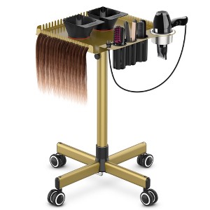 TASALON Professional Hair Styling Station Cart, Rolling Salon Tray with Magnetic Bowls, Tool Holders and Dryer Mount, Gold - 1 of 4