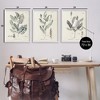 Stupell Industries Green Botanical Latin Study, 24" x 30" - 3 of 4