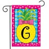 Briarwood Lane Summer Garden Flag 18x12.5 For Outdoor Pineapple Monogram Letter G Garden Flag Flag For Summer Garden Flag Flags For Outside - 2 of 4