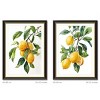 FONTOI 2pcs Lemon Canvas Wall Art, Botanical Wall Decor Living Room, Dining Room Decor Framed Wall Art for Hallway, Yellow 24"* 32"*1.2" - 3 of 4