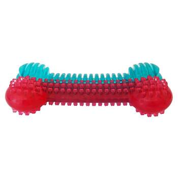American Pet Supplies 5.5-Inch Textured Rubber Bone Dog Chew Toy - Dual Colored