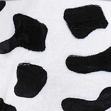 dalmatian
