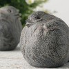 Sullivans Set Of 2 Bird Figurines 3"H Gray - 3 of 4