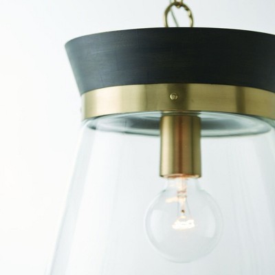 Finn Black Stain and Matte Brass Pendant Light with Clear Glass Shade