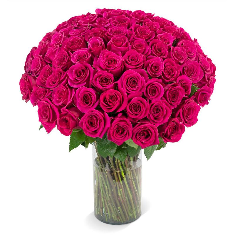 Fresh Cut 100-stem Hot Pink Rose Bouquet, 1 of 7