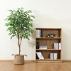 DR.Planzen 5-7FT Artificial Ficus Tree with Black Pot, Realistic Faux Plants Indoor Outdoor Large Fake Tree for Home Decor - 4 of 4