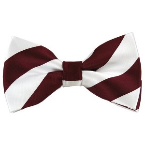 Men's 2.75 W And 4.75 L Inch With Pre-Tied College Stripe Bowtie - 1 of 3