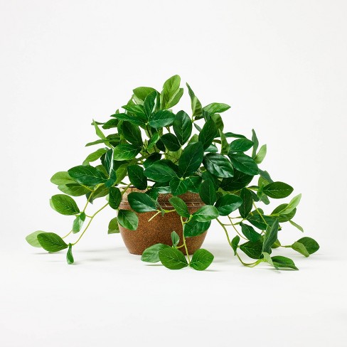 15 Variegated Ficus Artificial Plant - Threshold™ Designed With Studio  Mcgee : Target