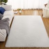 Fluffy Shaggy Rug: Tie-Dyed Furry Non-Shedding Plush Rug – Fuzzy Accent Carpet for Living Room, Bedroom | Soft Feet-Friendly Home Decor Floor Cover - 3 of 4