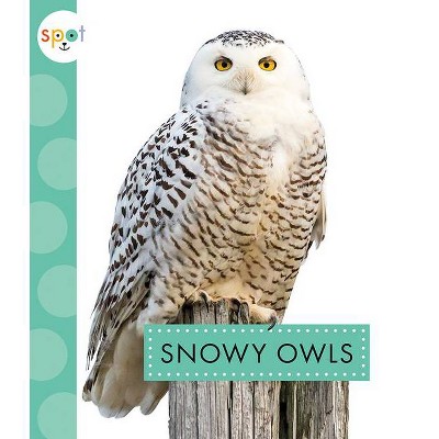 Snowy Owls - (Spot Arctic Animals) by  Anastasia Suen (Paperback)