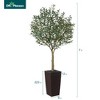 DR.Planzen 5-8FT Adjustable Artificial Olive Tree - UV Resistant Fake Plant in 15.7-22.7" Tall Planter (B/W/Coffee) for Indoor/Outdoor - 4 of 4