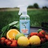 Rebel Green Fruit & Veggie Clean - 34 fl oz/2pk - 4 of 4