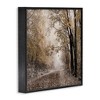 Stupell Industries Sunlit Woodland Nature Trail, 17" x 17" - 3 of 4