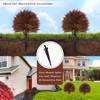 poetree 24" Faux Cypress – Fall Artificial Topiary Ball Tree with Ground Spike for Indoor & Outdoor Décor - 3 of 4
