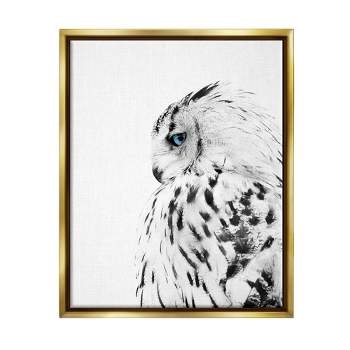 Stupell Industries Snow Owl White Feathers Peering Blue Eyes