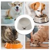 Unique Bargains Non-Skid Puppy Bowl Gray 1 Pc - 4 of 4