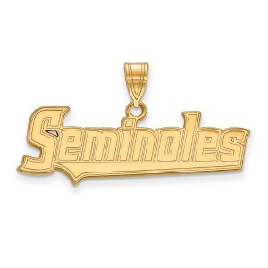 Black Bow Jewelry 10k Yellow Gold Florida State Seminoles NCAA Medium Pendant - 1 of 3