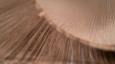 Mid-Century Jute-Brown Stripe Flat-Weave 5'x8' Synthetic Rug